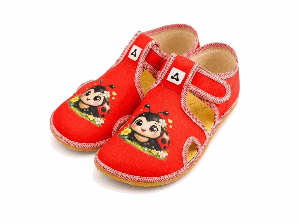 Тапочки Antal Rascal — Ladybug (детские)
